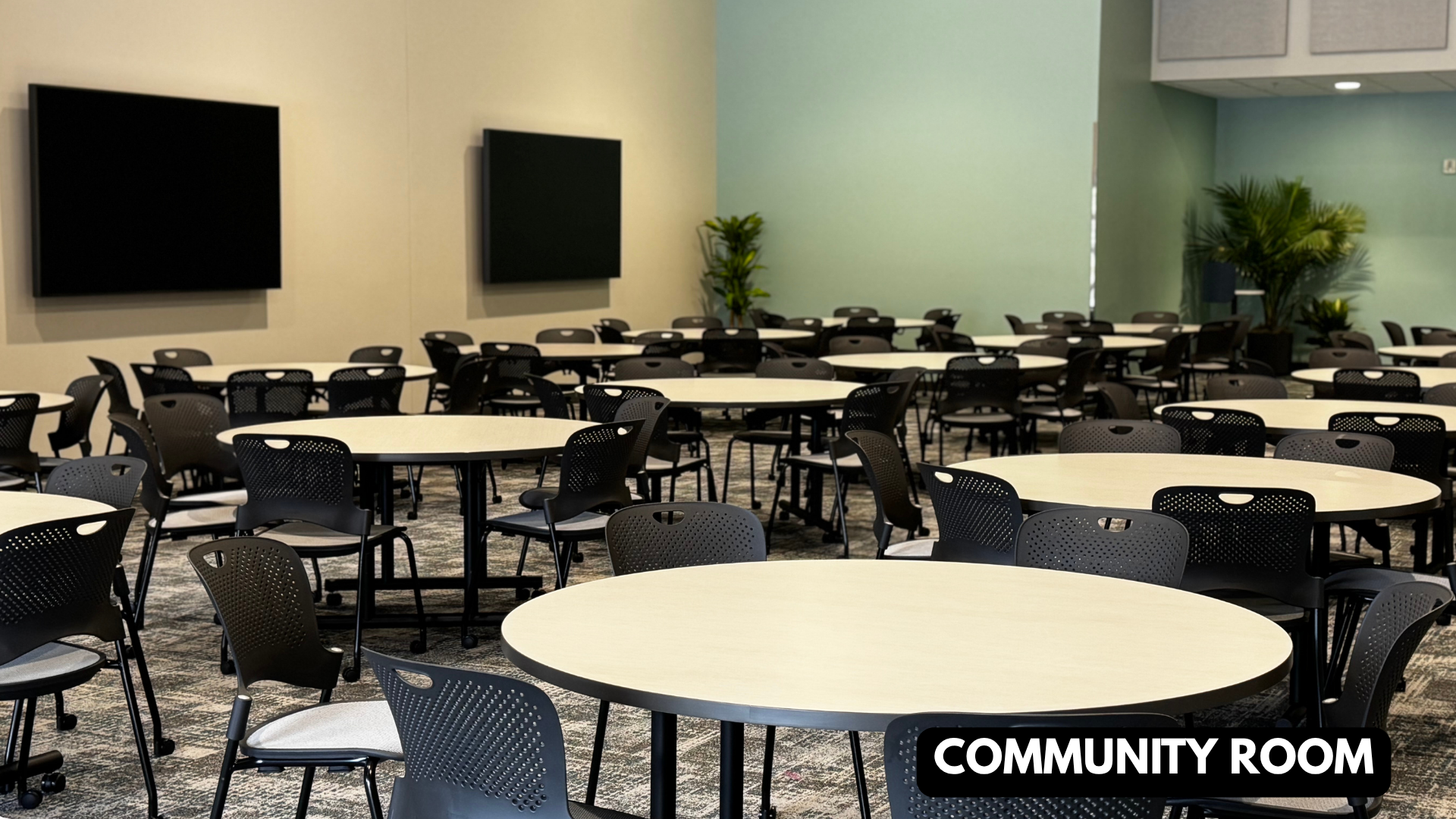 Community Room Carousel